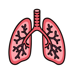 Human Lungs Anatomy Illustration for Health and Medical