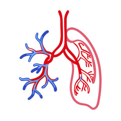 Human Lungs Diagram Illustration on a Black Background