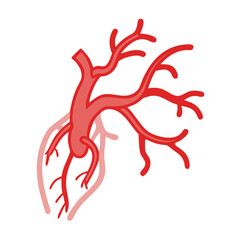 Simplified Illustration of Human Blood Vessels in Red