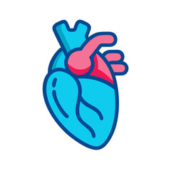 Illustration of human heart anatomy organ, medical concept