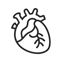 Anatomical Heart Icon Design, Medical Illustration