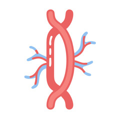 Fototapeta premium Stylized Arteries and Veins illustration against black background