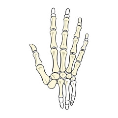 Skeleton hand illustration on black background anatomy design