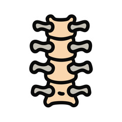 Vector Spine Illustration: Medical, Chiropractic, Anatomy, and Health