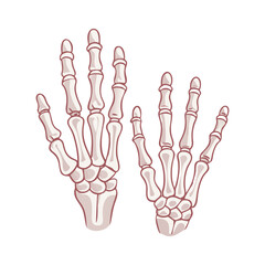 Two skeletal hands vector illustration on black background