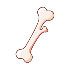 Cartoon bone icon, anatomy health and design elements