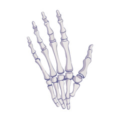 Cartoon Skeleton Hand Anatomy Halloween Spooky on Black