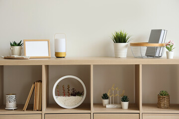 Wooden shelving unit with different houseplants and books near white wall