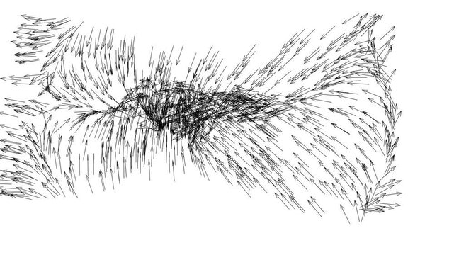 Arrow Murmuration.
Murmuration of arrows simulated using particle physics.