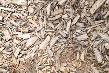 mulch and wood shavings in garden