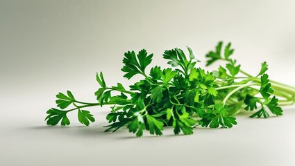Fototapeta premium Watercolor parsley sprigs creating a fresh culinary design