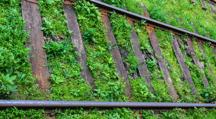 The rails grew in the grass, vintage Ambewela station, Nuwara Eliya, Sri Lanka