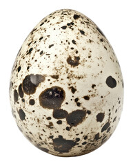 PNG Quail egg background quail white.