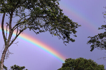 Magia natural el arcoíris perfecto

