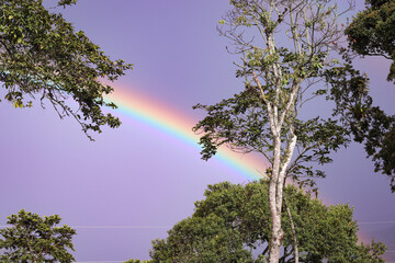 Obraz premium Cielo multicolor tras la lluvia