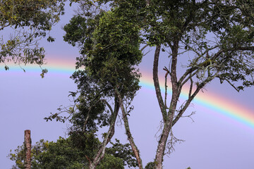 Paisaje con arcoíris vibrante al atardecer