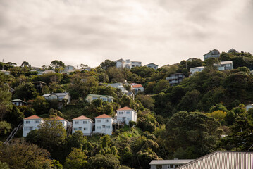 Houses on the hills in Wellington New Zealand
