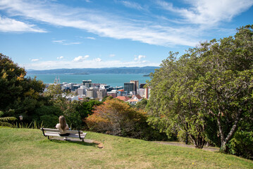 Wellington from Botanical Gardens. New Zealand