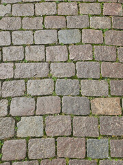 Surface and texture background image of cobblestones in the street with moss growing in between them.