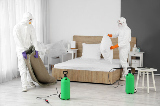 Male workers in protective suits disinfecting bedroom
