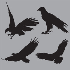 Eagles silhouette isolated vector