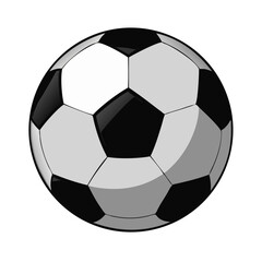 Soccer: The World's Most Popular Sport