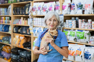 Smiling experienced mature female veterinarian standing in veterinary clinic with cute little fawn chihuahua in hands against background of stand with various pet foods