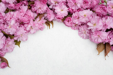 Pink cherry blossom flowers on white textured background. Floral spring composition with copy space. Romantic nature flat lay.
