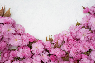 Pink cherry blossom flowers on white textured background. Floral spring composition with copy space. Romantic nature flat lay.