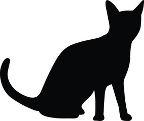 Silhouette Adorable Cat