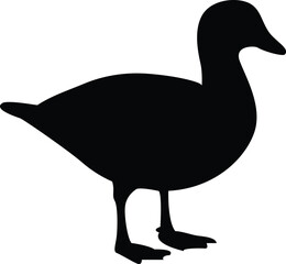 Silhouette Adorable Duck