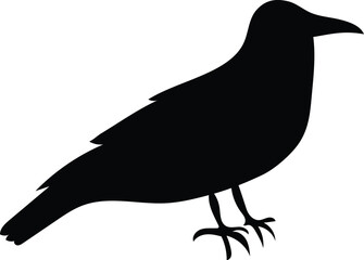 Silhouette Crow Bird
