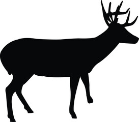 Silhouette Cute Deer