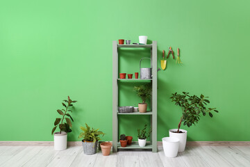 Shelving unit with different houseplants near green wall in room