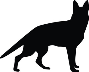 Silhouette Fox Animal