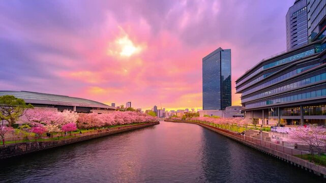 夕焼けと川沿いの桜並木　ズームイン