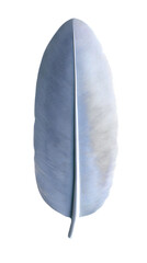 Abstract Digital Rendered Blue Feather Illustration With Transparent Background