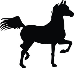 Silhouette Horse Playful Position