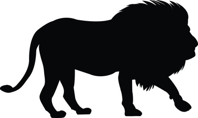 Silhouette lion Wild Animal