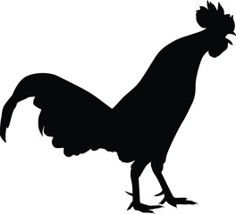 Silhouette Male Rooster Shouts Morning