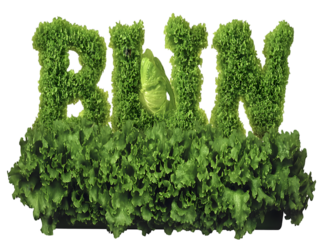 3D Rendered Green Lettuce Text Isolated Transparent Background Illustration