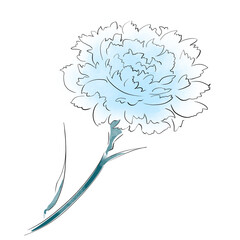 カーネーション青・母の日