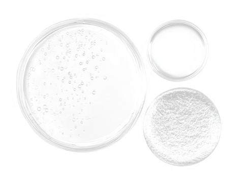 Abstract White Circles on Transparent Background Graphic Illustration