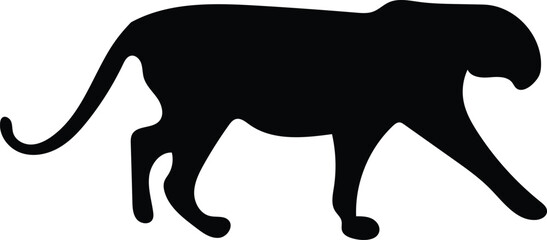 Silhouette Wild Leopard