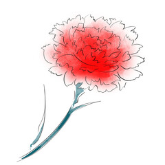 カーネーション赤・母の日