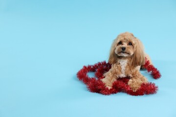 Cute dog with shiny tinsel on light blue background. Space for text