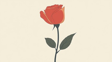 Red Rose with Simple Illustration.
