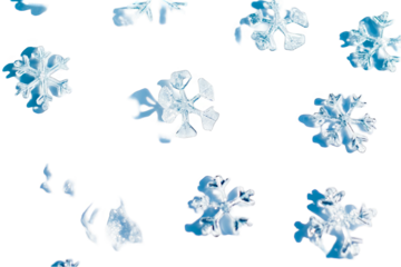 Detailed Snowflakes Floating Against Black Transparent Background Illustration