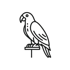 Obraz premium Minimalist Line Art Parrot Illustration on Transparent Background 