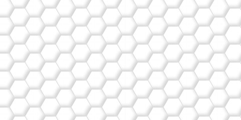 Fototapeta premium Emboss white Hexagonal Background. Luxury White Pattern. Vector Futuristic minimal honeycomb mosaic white background. geometric mesh cell texture. modern futuristic wallpaper.